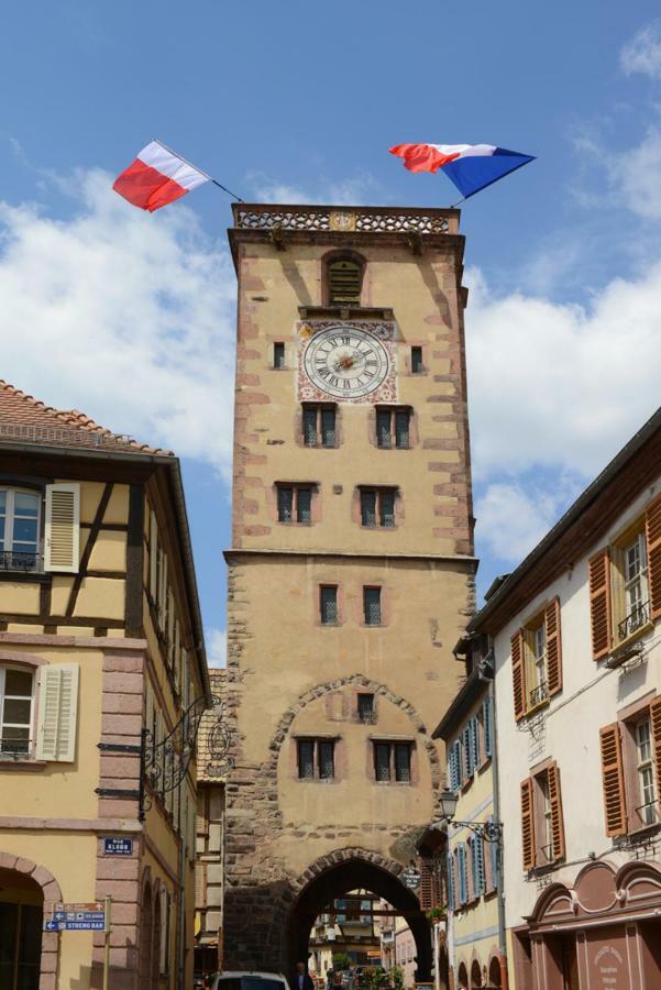 Ribeauville City Center - Gite Des Menetriers, Les Vieilles Vignes - エクステリア 写真
