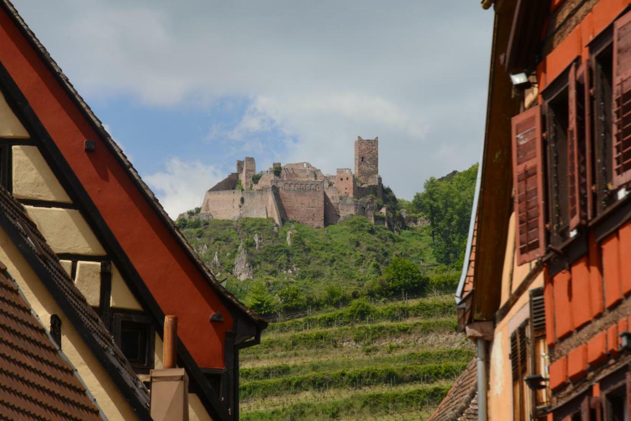 Ribeauville City Center - Gite Des Menetriers, Les Vieilles Vignes - エクステリア 写真